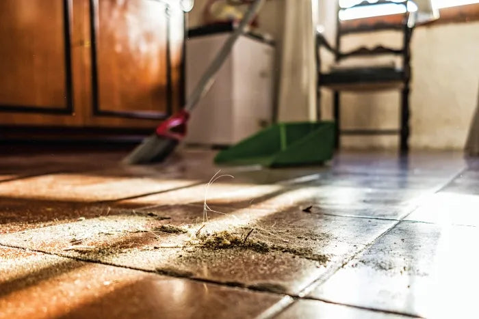 The Effects of Dust on Humans. What is the best air purifier for dust removal?