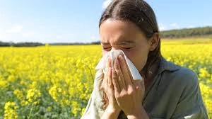 How the Best Air Purifier for Hay Fever Can Help You Find Relief