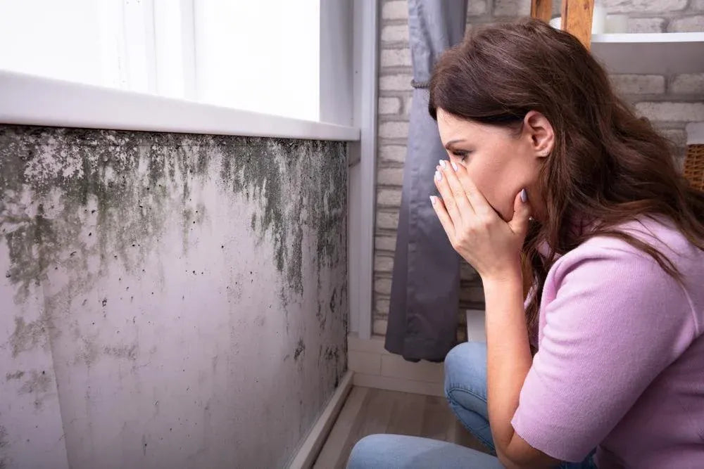 The dangers of mould in your home and how an air purifier can help