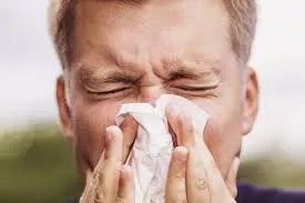 How do I know if I have Hay Fever or a Cold? And what is the best air purifier for hay fever sufferers?